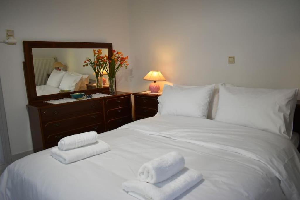 Thalia'S House Apartment Trikala  Luaran gambar