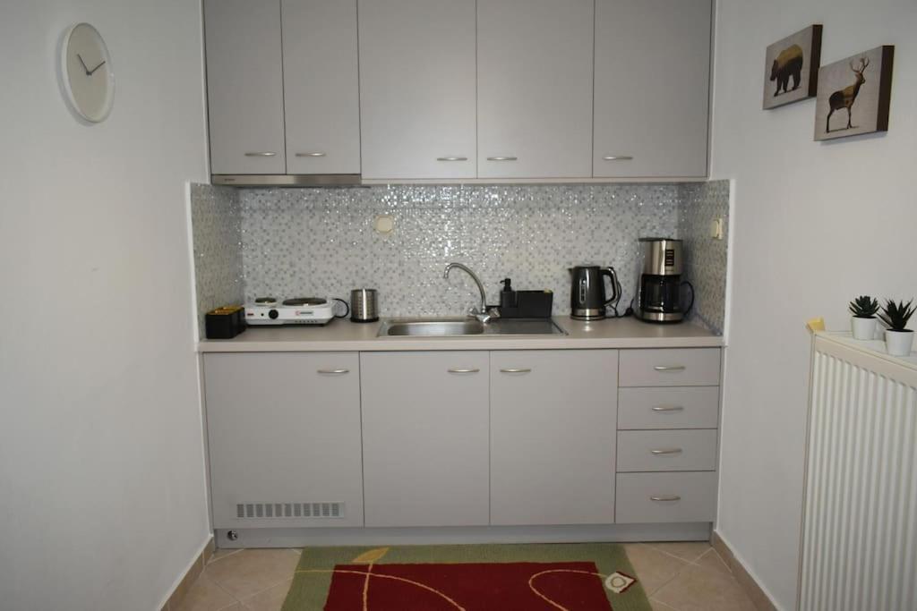 Thalia'S House Apartment Trikala  Luaran gambar